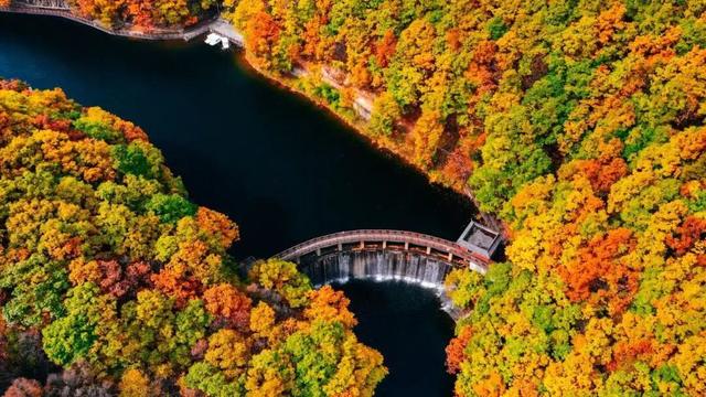 滴！重阳暖心免票福利→这张秋日『头等舱』车票请签收！