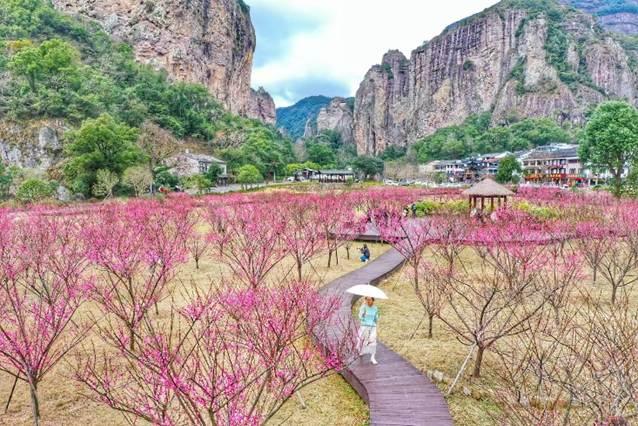 捧全球大奖、迎83万客流 雁荡山：亿年奇山的“逆袭”与“焕新”之道