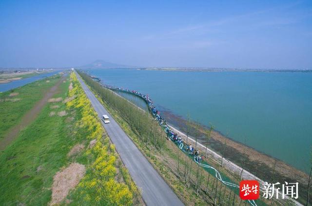 【图集】大美江苏！穿越森林秘境，漫步郊野公园，沉浸式感受"绿色动脉"