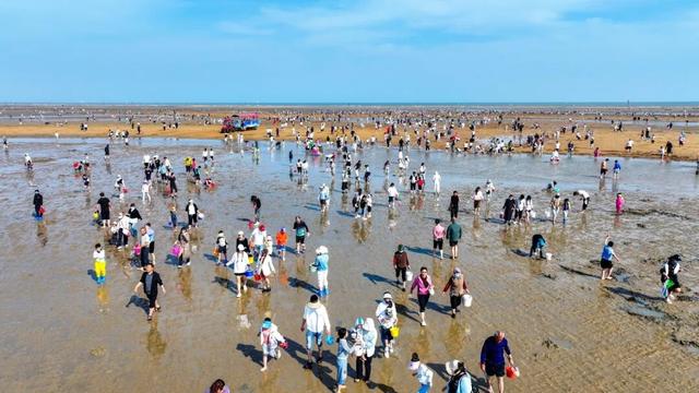 这个五一，去刘家湾赶一场“潮”——万亩滩涂已备好，只差一个挽起裤脚的你