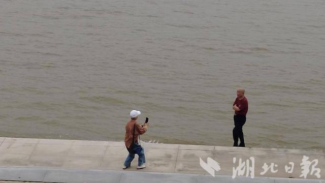 我的长江我的家丨来南岸嘴公园亲眼见证“两江交汇”