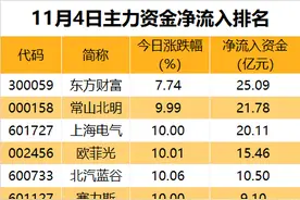 主力资金 | 尾盘资金杀“回马枪”？14股获加仓超1亿元图片