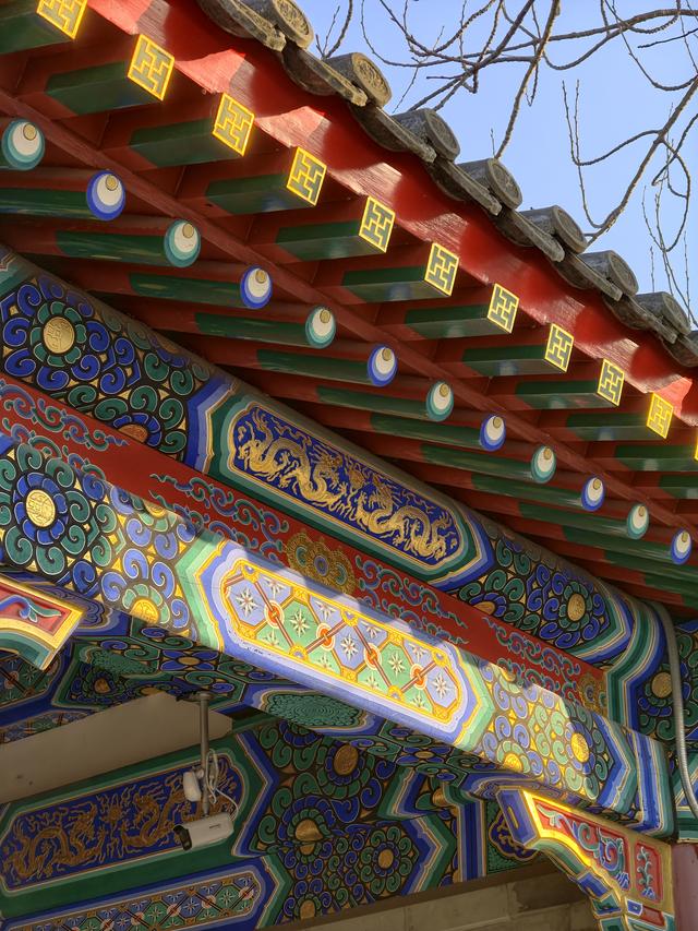 漫步团河行宫遗址公园，享受冬日静谧时光