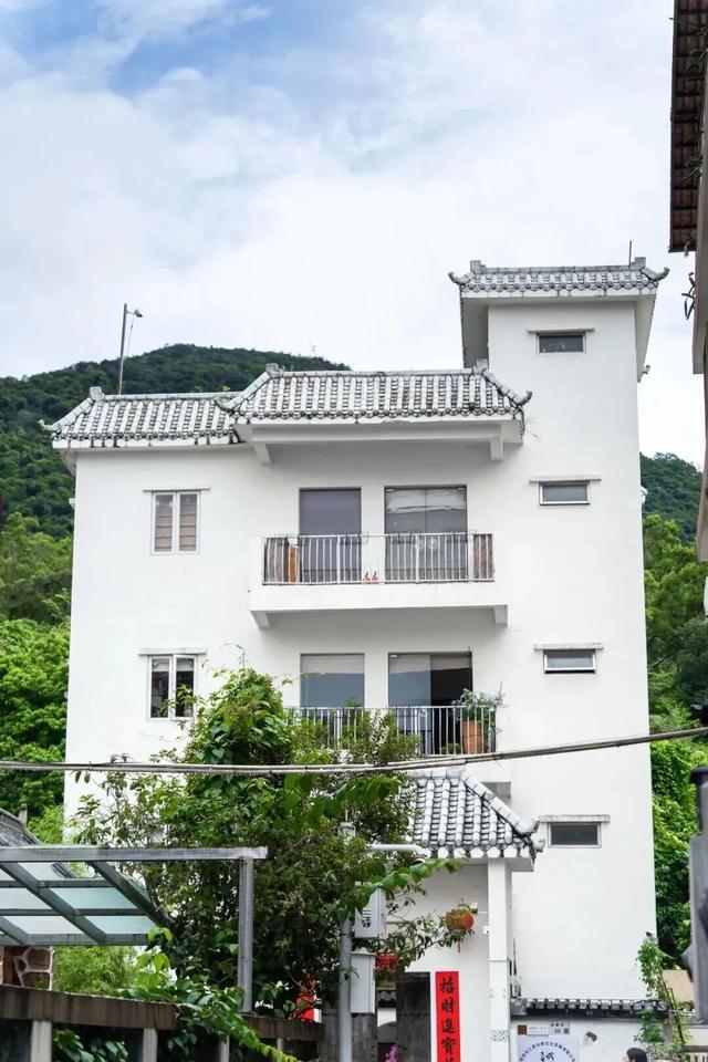 三大世界冠军助阵！直击2025梧桐山登高赛！