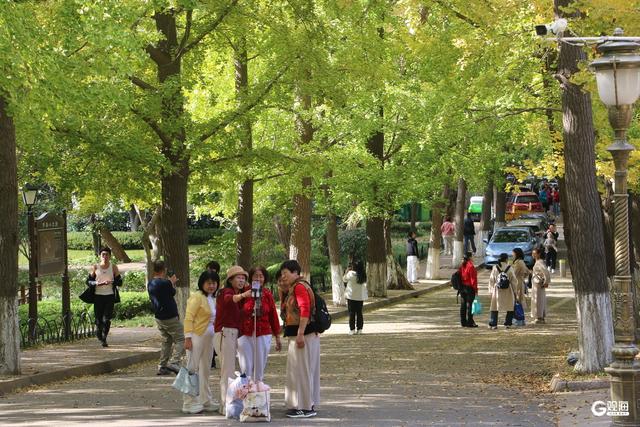 缓扫一片秋，赴青岛的五彩之约