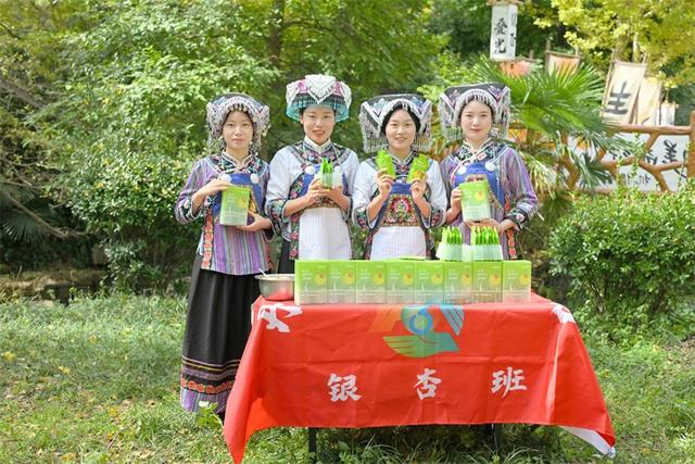 邂逅千年银杏！丹霞收费站“银杏班”邀请游客共赴金色之约