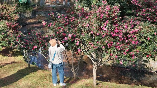 气温直冲20℃！第一波赏花的人已出发