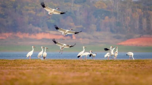 今日立冬 | 鄱湖映霜色，暖食沁人心