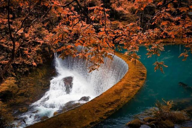 秋游贵州  开启一场康养之旅