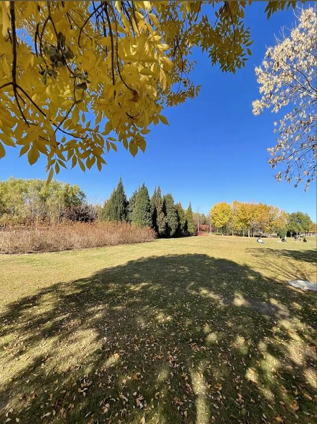 太美了！去北京这里赏“漫山红叶”｜周末京郊微度假