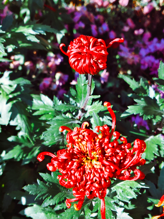 太美了！漫步南长河，邂逅满途风光