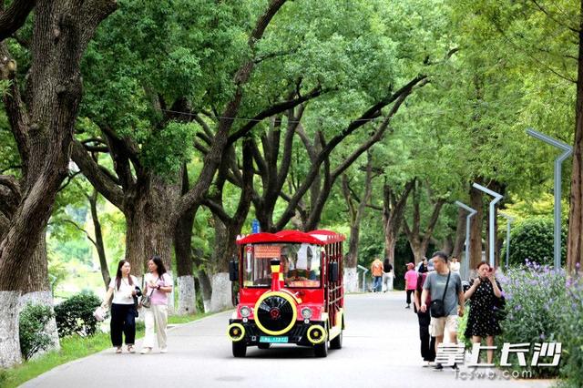 组图｜长沙降温，湖南烈士公园迎市民“清凉之约”