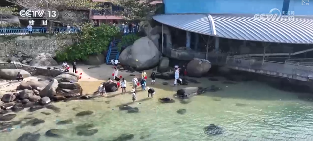 “荆州十二时辰”千年古城激活假日经济