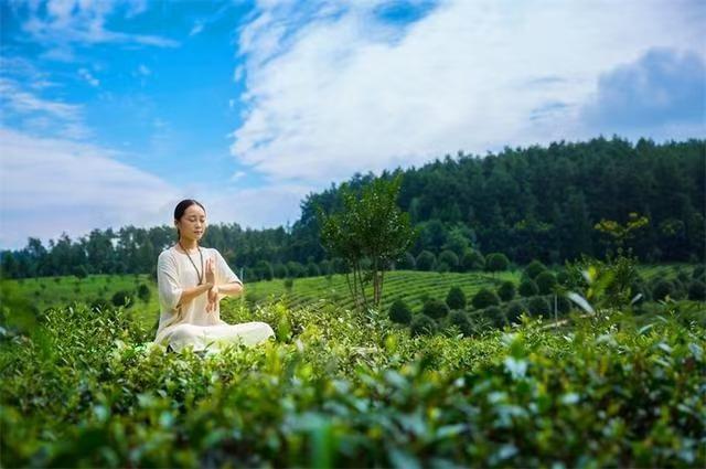 秋遇贵州：在全方位体验中解锁新旅程