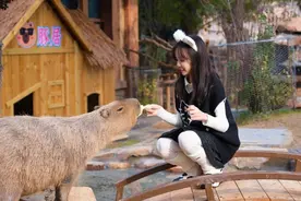 38节限定浪漫！河南景区福利全攻略来了→图片