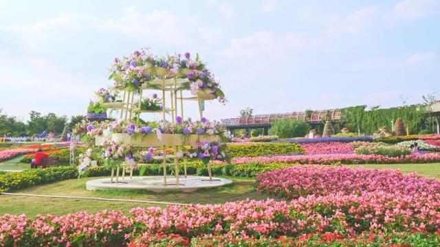 上海这个绝美城堡花园，免门票了！