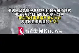 蒙古国470万牲畜死亡 中国赈灾物资送至灾民手中图片