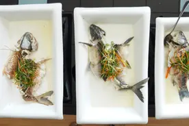 吊水去腥，科学家为鱼进行“鲜味特训”图片