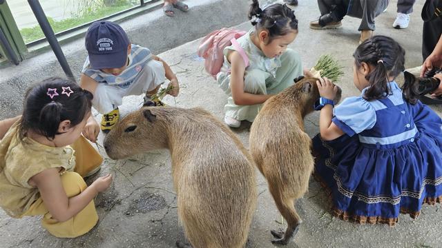 浙江金华：绿水青山间的文旅融合