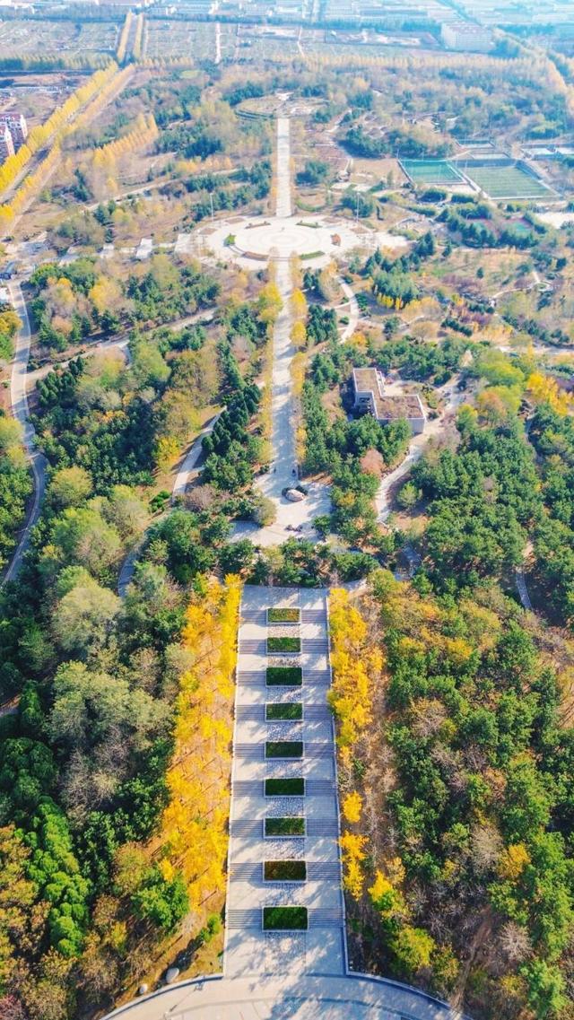 藏在乳山各处的温柔｜这些公园，让心情慢下来