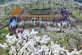 重报观察｜“花花世界”众人迷，如何让村民从看客变创客图片
