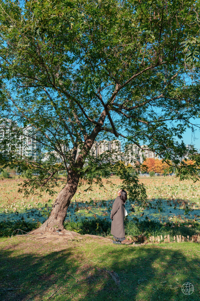 人少景美不绕路，东湖秋日彩蛋上新