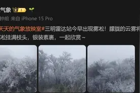 大降温！福建一地出现雾凇！回暖时间就在……图片