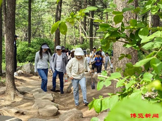 淄博乡村旅游攻略来了！4条主题线路解锁隐藏玩法