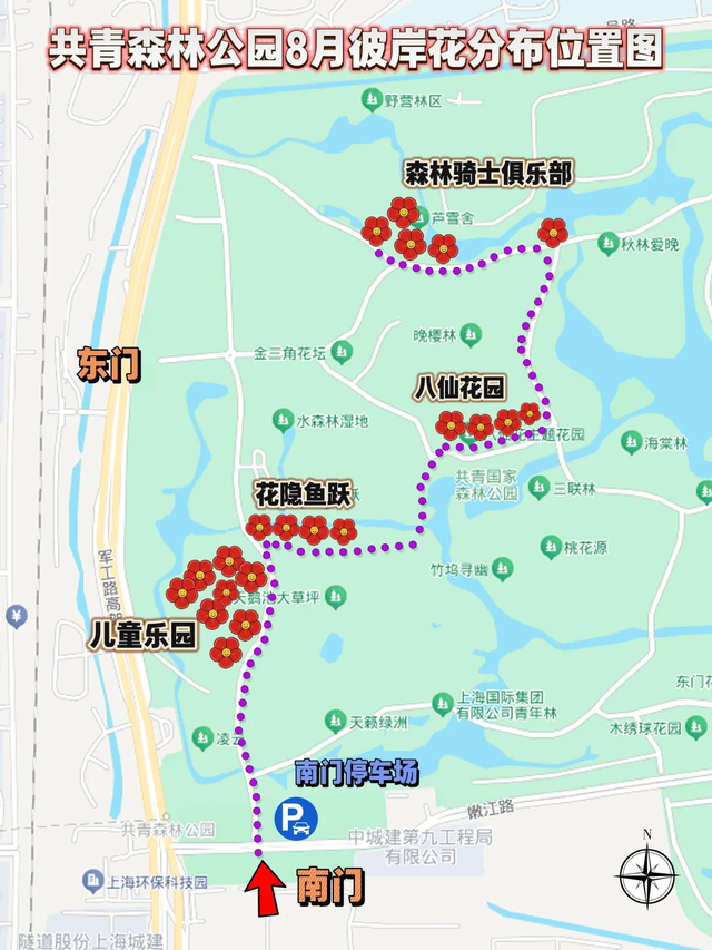 初秋的红色花海盛放！上海这个免费公园，曼珠沙华灿若云霞→