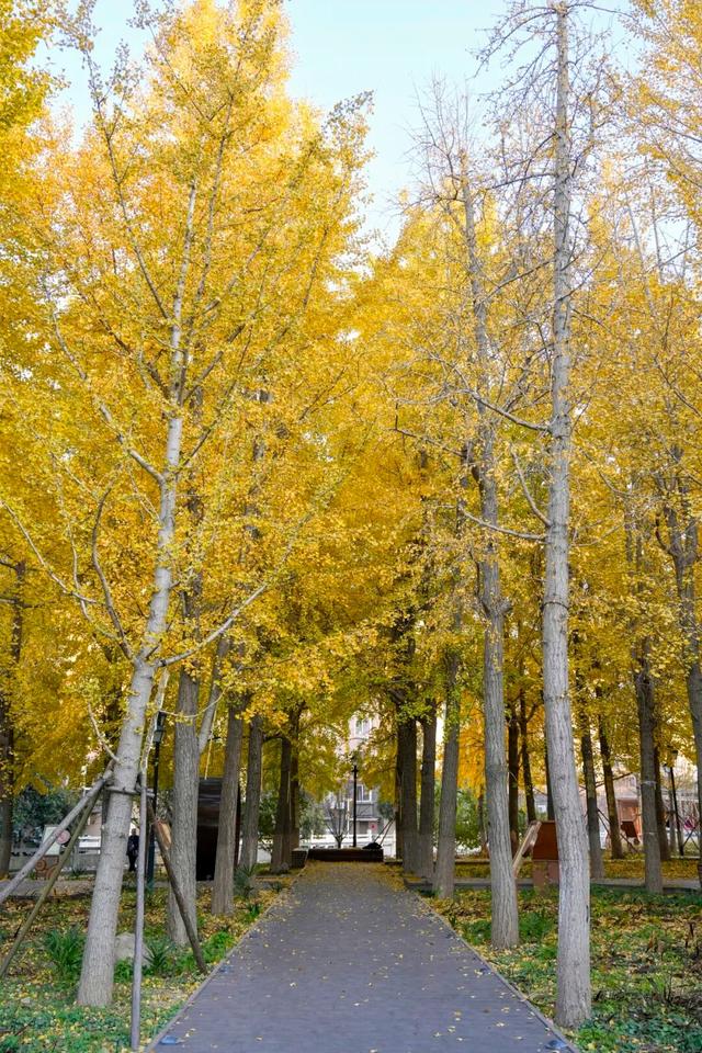 出片率100%！海陵“含金量”在上升！