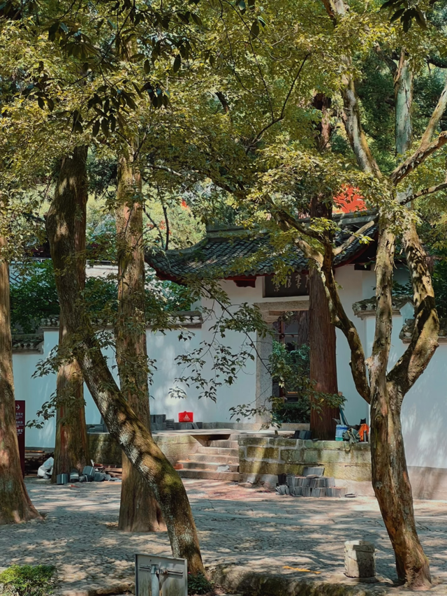 倪萍、朱迅现身江西，赴一场文化与美景之约