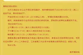 跨年夜游南博，还有余票！图片