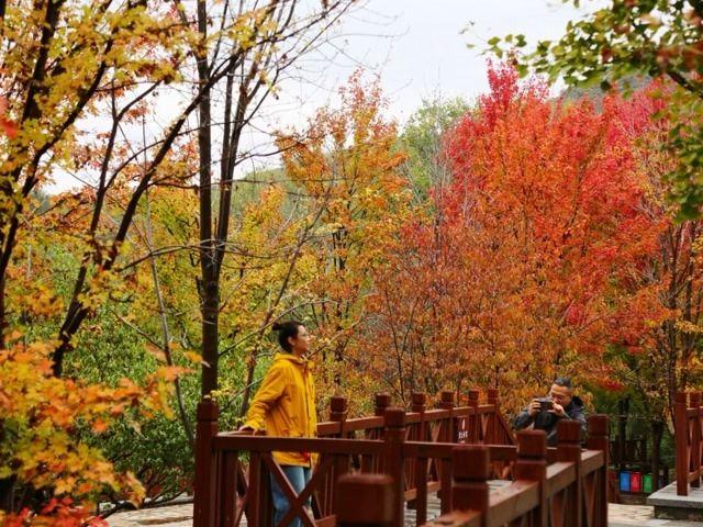 北京号最精彩｜登山赏红叶！京郊宝藏步道打卡全攻略来啦