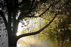 记者手记｜每个平凡日子都值得纪念，小雪对未来无所畏惧图片