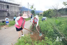 佛冈亲子同植幸福树，打扮绿美家园图片