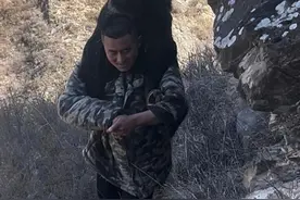 野猪破坏村民庄稼，护农队猎杀后肩扛下山，队长：没有补贴，想帮村民减小损失图片