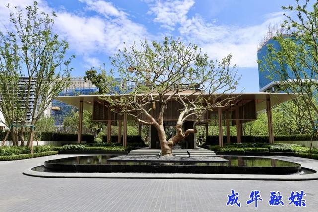 好 凉 快！家门口的森系公园来了