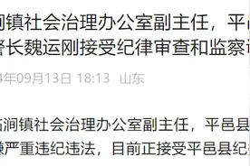 山东平邑县临涧镇社会治理办公室副主任、平邑县公安局临涧派出所所长魏运刚被查图片