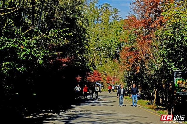 岁暖时刻丨无需远行，中坡山便是怀化的诗与远方