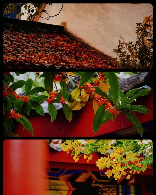 你闻到了吗?台江这些地方好香!