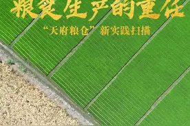 更好扛起粮食生产的重任——“天府粮仓”新实践扫描图片