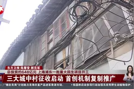 总投资约648亿元 上海浦东一批重大民生项目开工图片