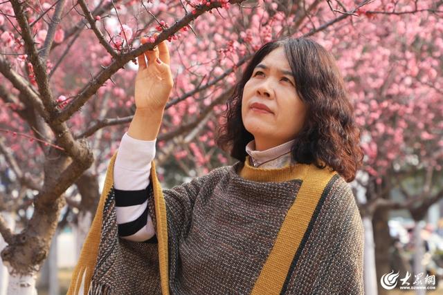 梅花绽放春意浓 游人如织景怡人 泰安高新区凤凰河公园成为春日休闲好去处