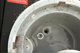 头皮发麻！上班一直在喝蚂蚁泡澡水！办公室最脏地方细菌超厕所3200倍图片