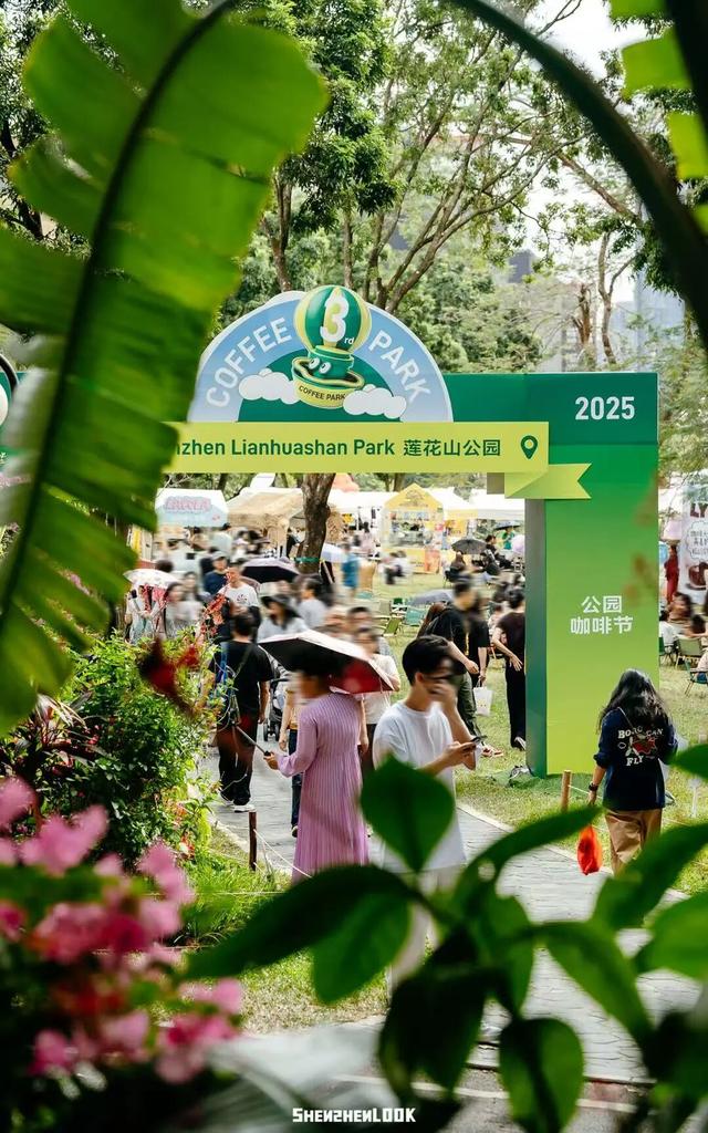 深圳湾的夜景再次升级 · 周末游玩指南