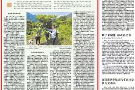 福建白肉枇杷在西藏墨脱安了家图片