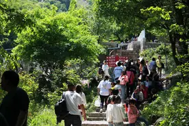 “文旅+”赋能 河南鲁山景区探索乡村振兴新模式图片