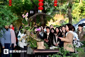 正月初一开展！福州于山兰花展将持续至元宵节！图片