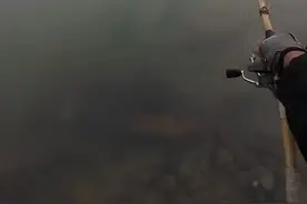 河南钓友又发现古碑了?疑是龙门石窟冲过来的，当地文旅局：算不上文物图片