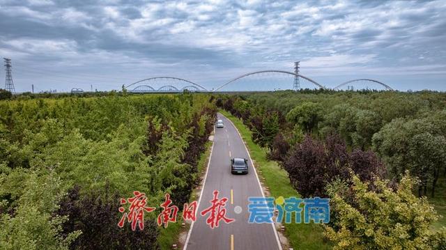 一年四季 泉在济南丨济南百里黄河公路生态廊道：生态与人文交融的打卡胜地